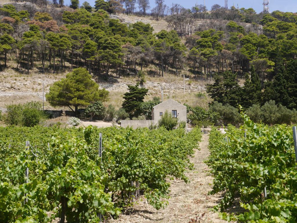 Casa Nel Vigneto Erice旅馆 外观 照片