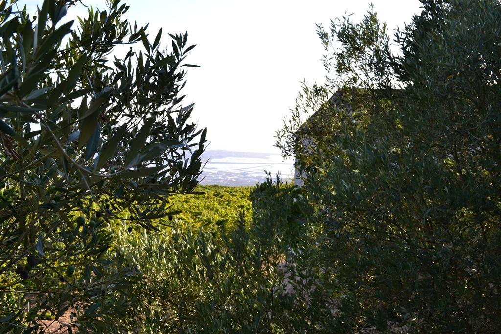 Casa Nel Vigneto Erice旅馆 外观 照片