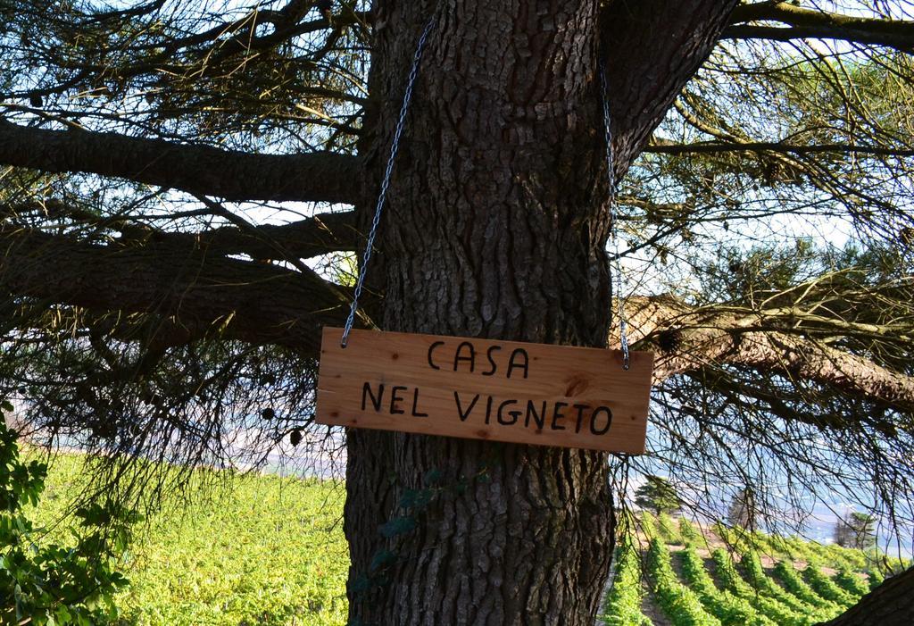 Casa Nel Vigneto Erice旅馆 外观 照片